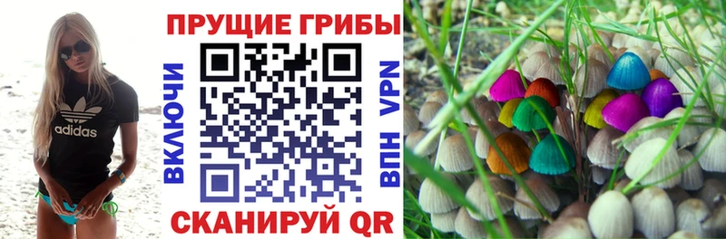Псилоцибиновые грибы мицелий  купить  цена  Верещагино 